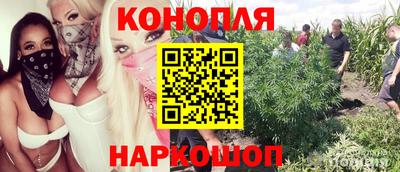 стафф Можга