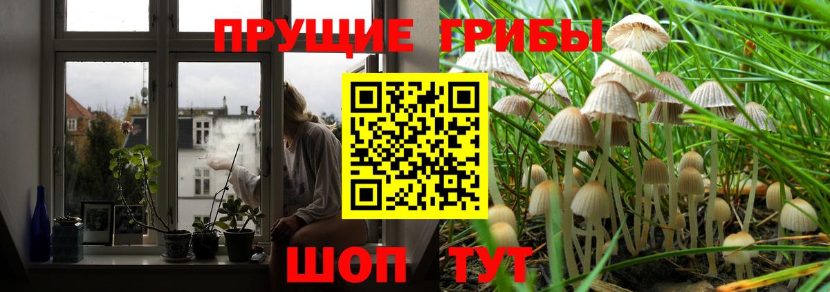 Псилоцибиновые грибы Magic Shrooms  Вход с VPN  Новомосковск 